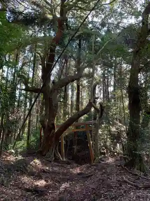 小川神社の鳥居