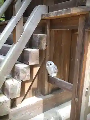 鹿嶋三嶋神社(茨城県)