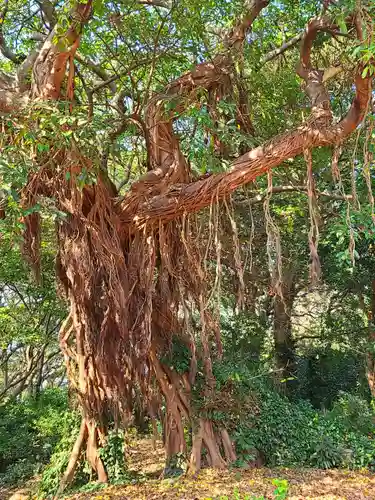 住吉神社(長崎県)