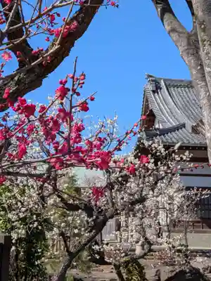 瑞円寺(東京都)