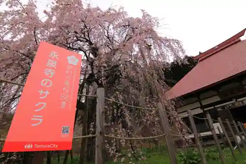 永泉寺の庭園