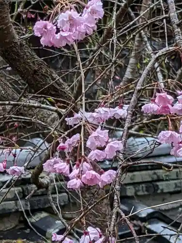 十輪寺(京都府)