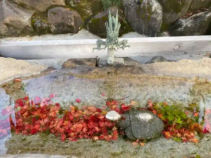 永光寺(牡丹不動尊) の手水舎