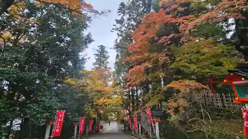 法輪寺(京都府)