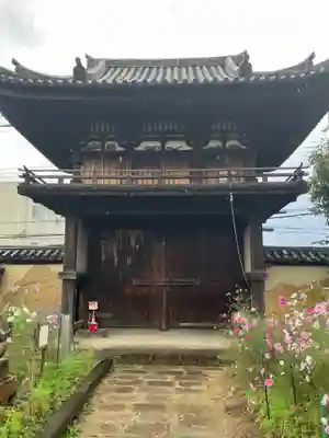 般若寺 ❁﻿コスモス寺❁(奈良県)
