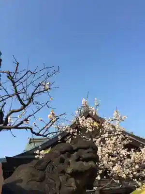 湯島天満宮の狛犬