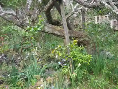 光則寺のその他建物