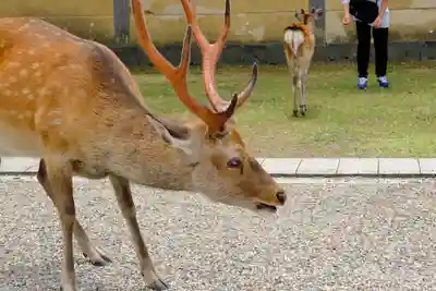 興福寺(奈良県)