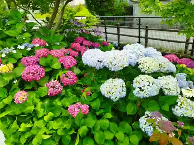 機物神社(大阪府)