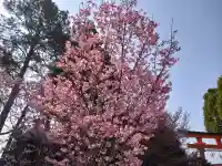賀茂別雷神社(上賀茂神社)の{uncategorized: "未分類", other: "その他", undefined: "問題あり", building: "その他建物", grave: "お墓", sacred_gate: "鳥居", guardian: "狛犬", statue: "像", buddha: "仏像", history: "歴史", nature: "自然", garden: "庭園", animal: "動物", pagoda: "塔", temizu: "手水舎", mountain_gate: "山門・神門", sanctuary: "本殿・本堂", subordinate: "末社・摂社", art: "芸術", scenery: "景色", jizo: "地蔵", ema: "絵馬", goshuin: "御朱印", omikuji: "おみくじ", items: "授与品その他", amulet: "お守り", goshuincho: "御朱印帳", eats: "食事", festival: "お祭り", votive_dance: "神楽", shichigosan: "七五三参", wedding: "結婚式", experience: "体験その他", initially: "初詣", around: "周辺", anti_infection: "感染症対策"}