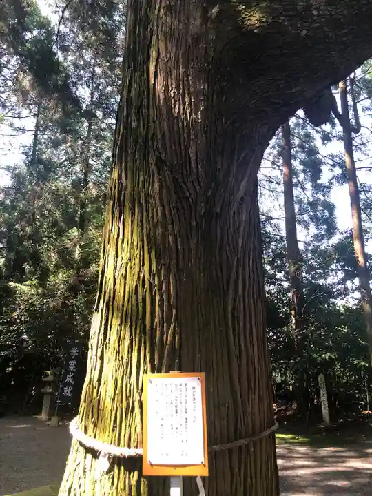 東霧島神社(宮崎県)