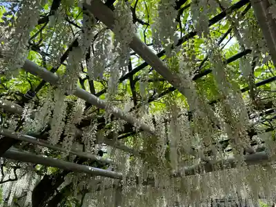 吉祥寺(福岡県)