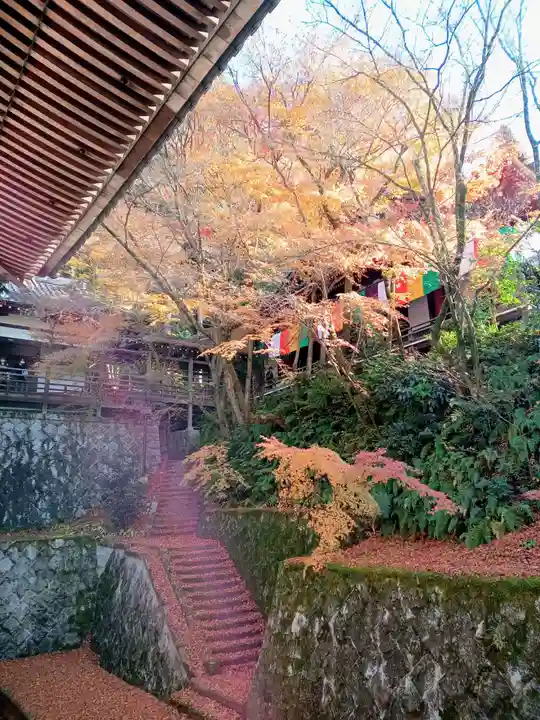 禅林寺(永観堂)(京都府)