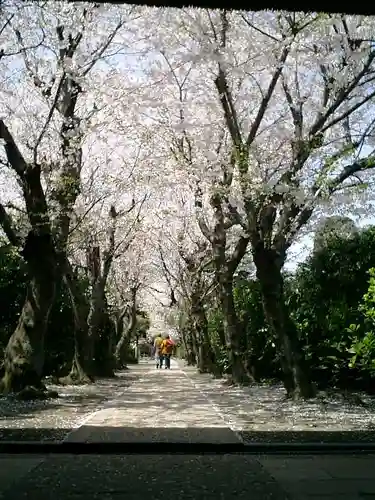 極楽寺（霊鷲山感應院極楽律寺）のその他建物
