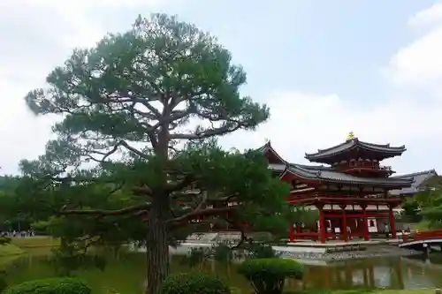 平等院の庭園