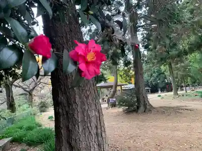 大東神社の自然