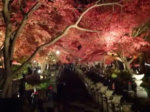 大山寺の庭園