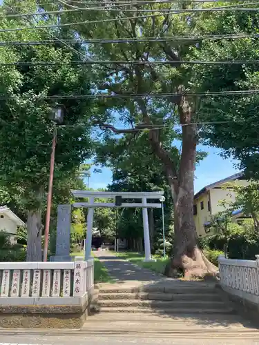 日枝神社の鳥居