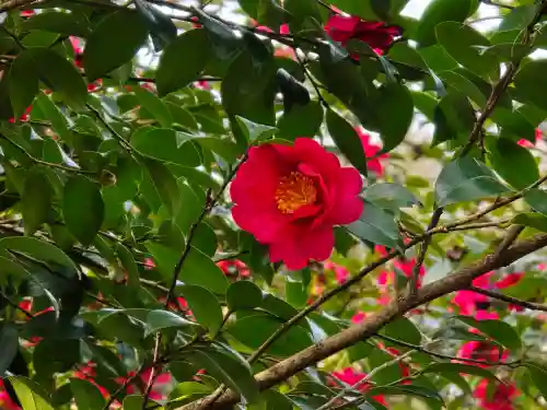 天龍寺(京都府)