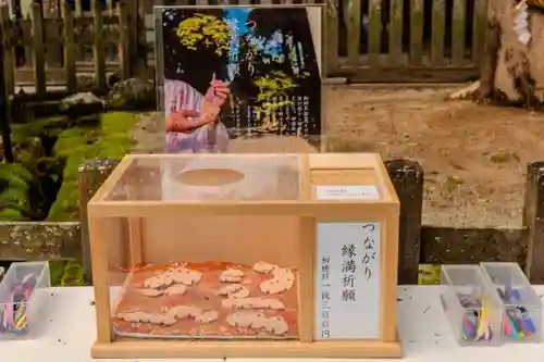 天岩戸神社(宮崎県)