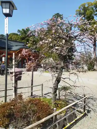 長岡天満宮の自然