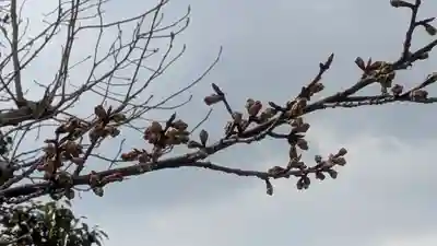 惠心院（恵心院）(京都府)