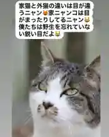 専念寺(大阪府)