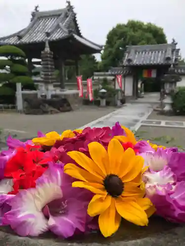 真言宗　善通寺派　薬王寺の手水