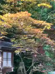 柴神社(福井県)