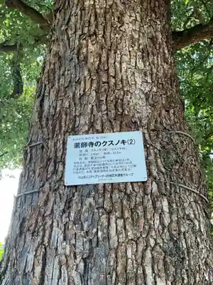 青海山　薬師寺(愛知県)
