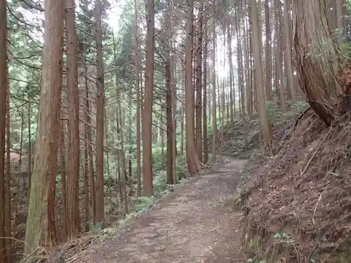 天乃石立神社の自然