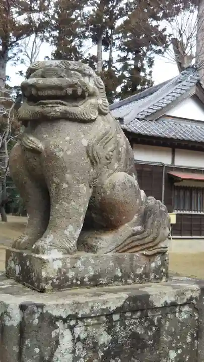 橘樹神社の狛犬