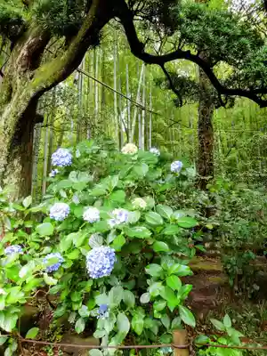 報国寺(神奈川県)