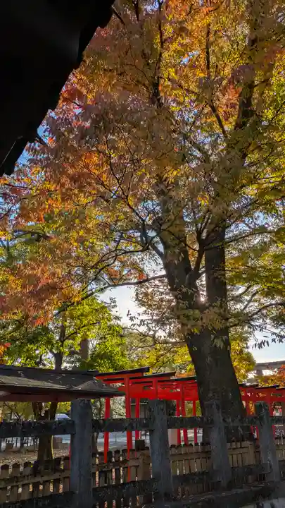 豊国神社(京都府)