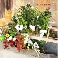 彌彦神社 (伊夜日子神社)(北海道)