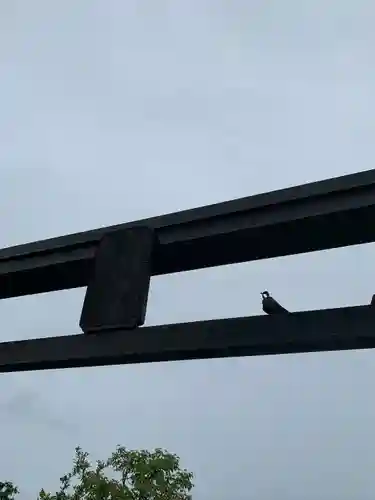 鉄道神社の鳥居