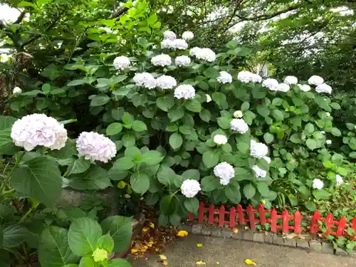 徳島眉山天神社の自然