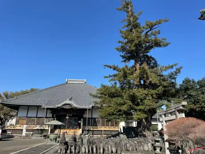 浄運寺の{uncategorized: "未分類", other: "その他", undefined: "問題あり", building: "その他建物", grave: "お墓", sacred_gate: "鳥居", guardian: "狛犬", statue: "像", buddha: "仏像", history: "歴史", nature: "自然", garden: "庭園", animal: "動物", pagoda: "塔", temizu: "手水舎", mountain_gate: "山門・神門", sanctuary: "本殿・本堂", subordinate: "末社・摂社", art: "芸術", scenery: "景色", jizo: "地蔵", ema: "絵馬", goshuin: "御朱印", omikuji: "おみくじ", items: "授与品その他", amulet: "お守り", goshuincho: "御朱印帳", eats: "食事", festival: "お祭り", votive_dance: "神楽", shichigosan: "七五三参", wedding: "結婚式", experience: "体験その他", initially: "初詣", around: "周辺", anti_infection: "感染症対策"}