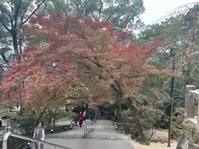 宝満宮竈門神社(福岡県)
