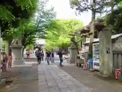 亀戸 香取神社の建物その他