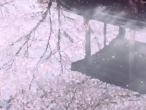 長建寺(京都府)