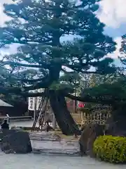 総持寺の自然