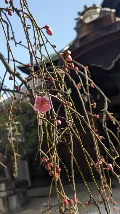 菅大臣神社(京都府)
