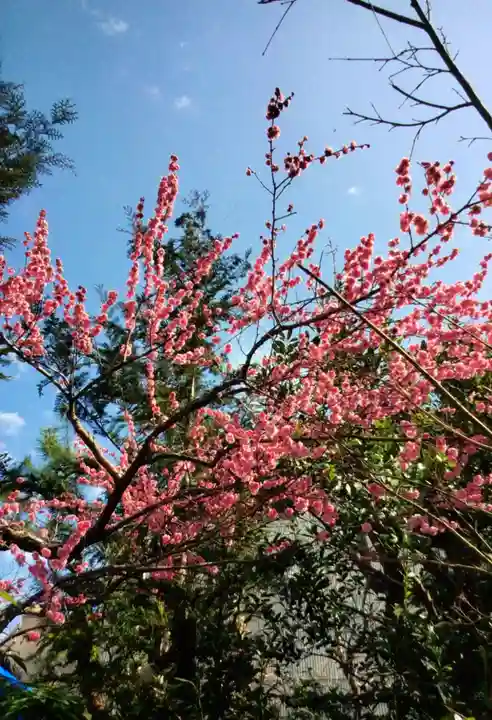 陽運寺(東京都)