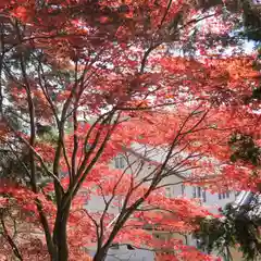 滑川神社 - 仕事と子どもの守り神の自然