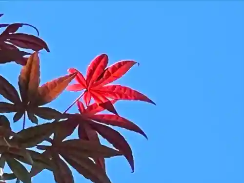 良性院(長野県)