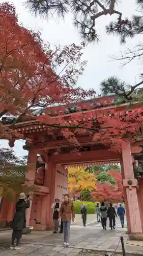 真正極楽寺（真如堂）(京都府)