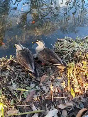 乃木神社(栃木県)