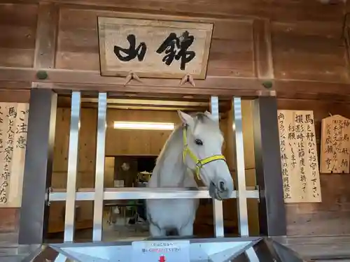 多度大社(三重県)