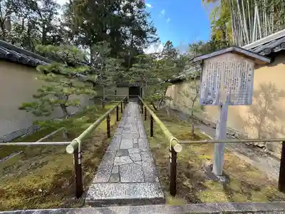 高桐院(京都府)